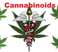 Cannabinoider & det Endocannabinoide System